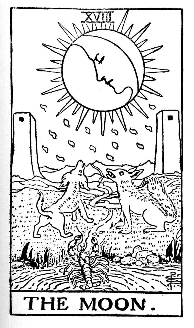 Rider Waite - The Moon
